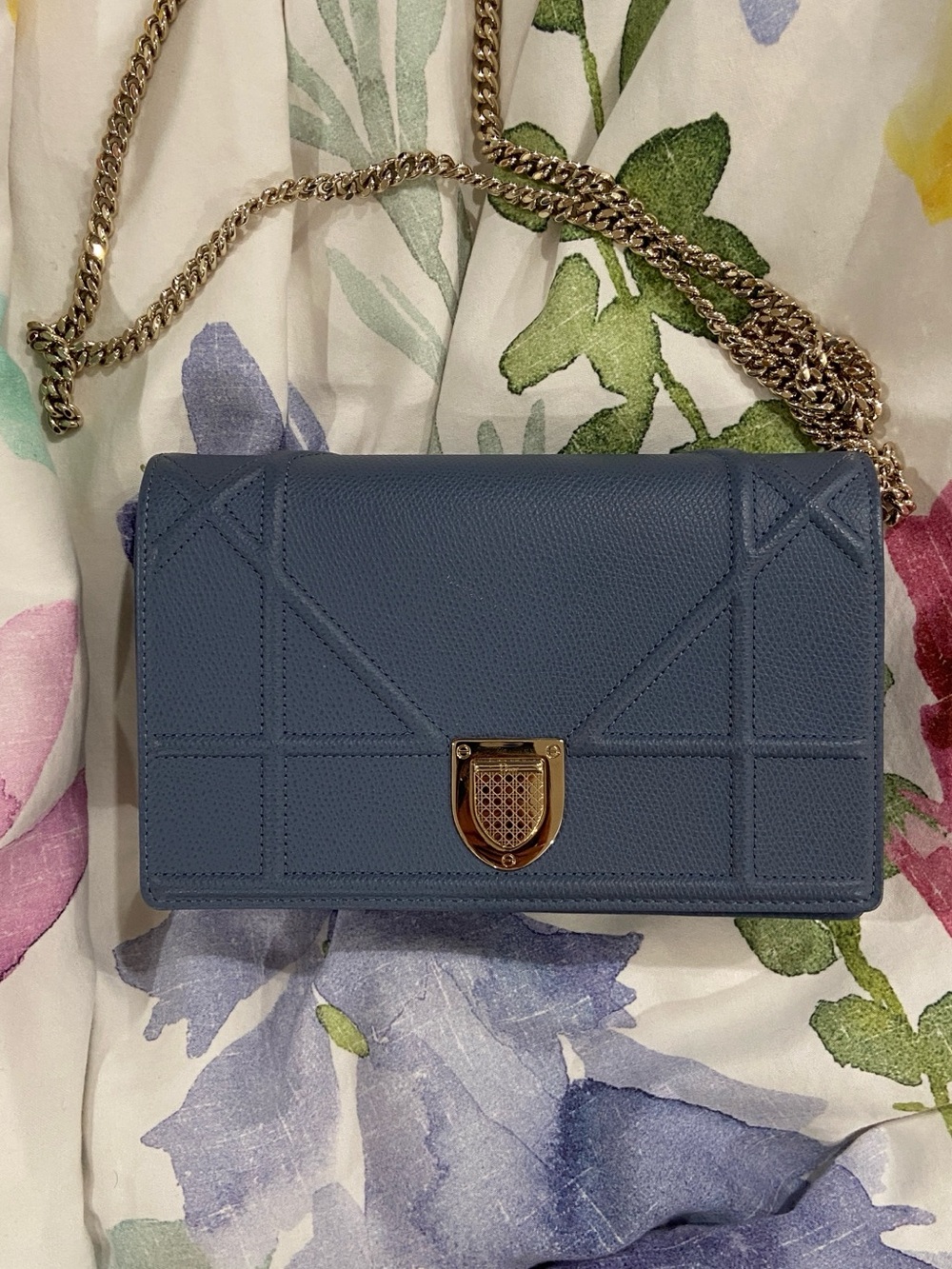 Dior Diorama Wallet on Chain with Silver Hardware